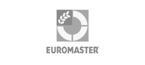 logo euromaster