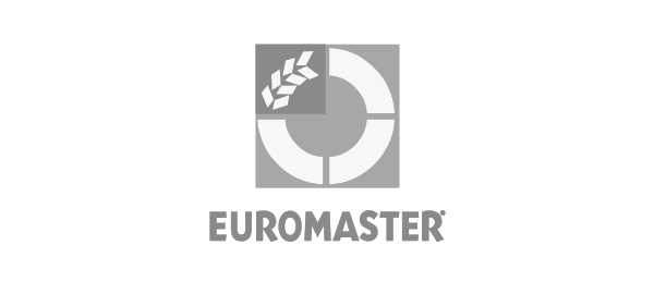 logo euromaster