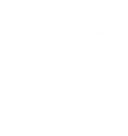 signature blanche